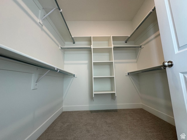 spacious closet with carpet floors