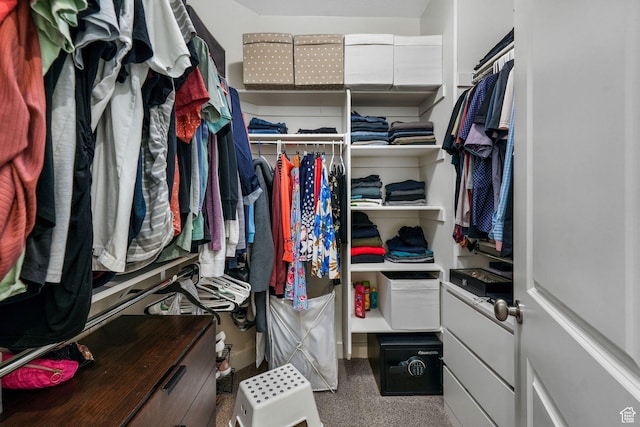 view of spacious closet