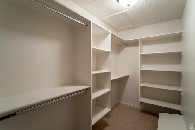 spacious closet with attic access and carpet flooring