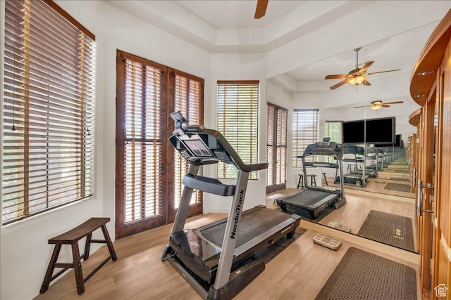 workout area featuring ceiling fan, a tray ceiling, and wood finished floors