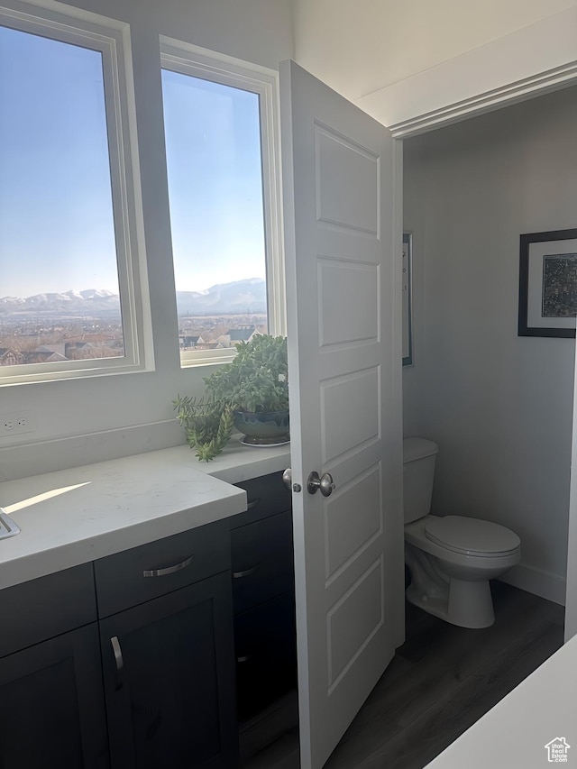 bathroom featuring toilet, vanity, and wood finished floors
