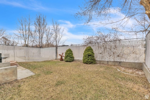 view of yard with a fenced backyard