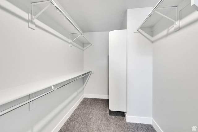 6512 S 390 E, South Weber, UT 84405 - spacious closet with dark carpet