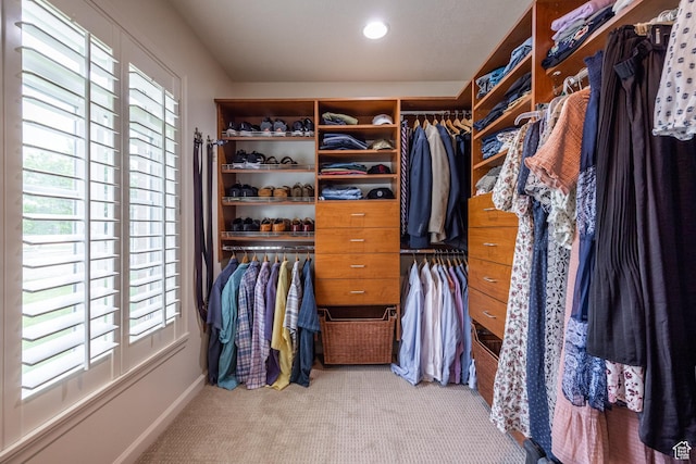 walk in closet with light carpet