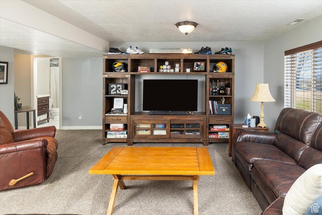 10285 N 7600 W, Tremonton, UT 84337 - living area with a textured ceiling, baseboards, and carpet floors