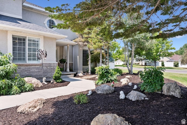 entrance to property with stucco siding and roof with shingles