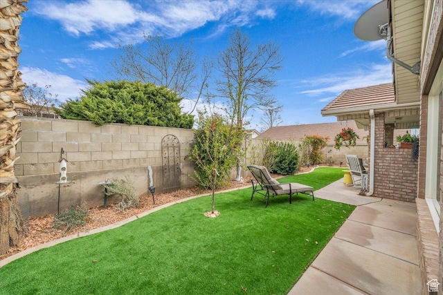 view of yard with a patio and a fenced backyard