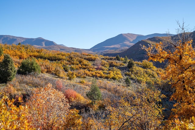 541 S Hobble Creek Canyon Rd Unit 8, Springville, UT 84663 - mountain view