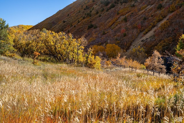 541 S Hobble Creek Canyon Rd Unit 8, Springville, UT 84663 - mountain view featuring a view of trees