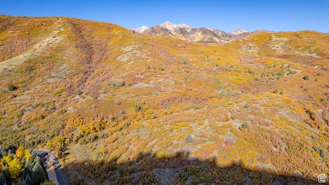 541 S Hobble Creek Canyon Rd Unit 8, Springville, UT 84663 - view of mountain feature