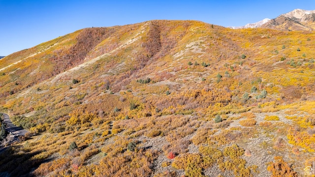 541 S Hobble Creek Canyon Rd Unit 8, Springville, UT 84663 - view of mountain feature