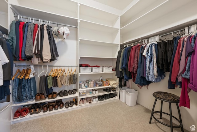 155 W 960 S, Hurricane, UT 84737 - spacious closet featuring carpet flooring