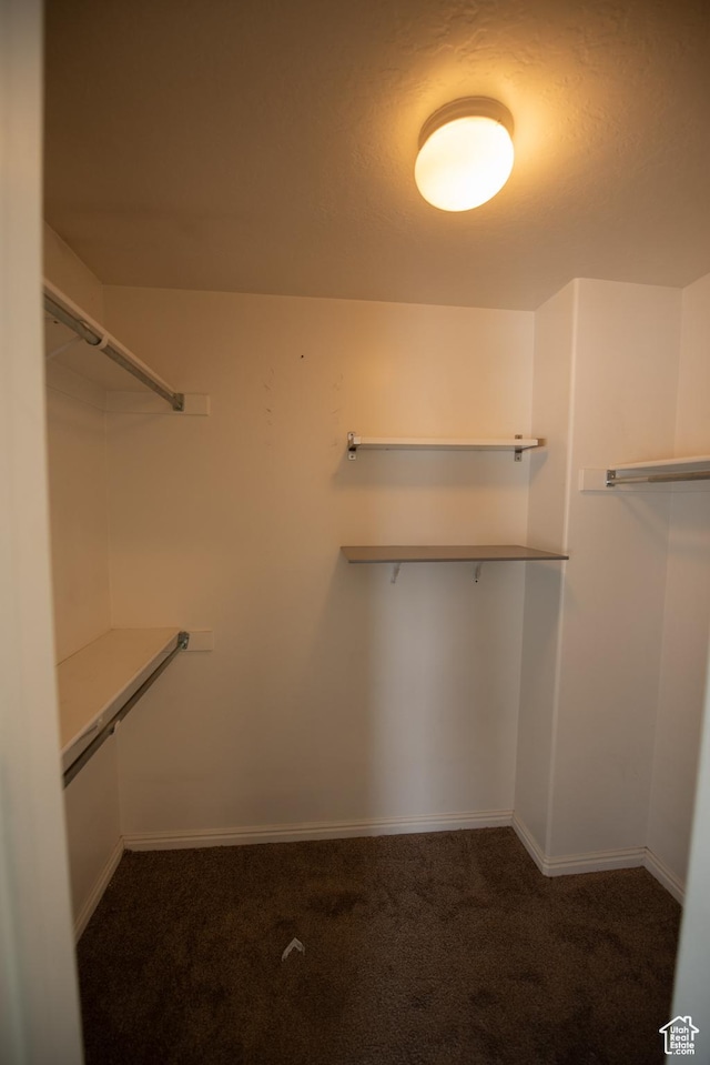 spacious closet with carpet floors