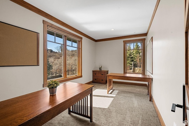 office with baseboards and ornamental molding