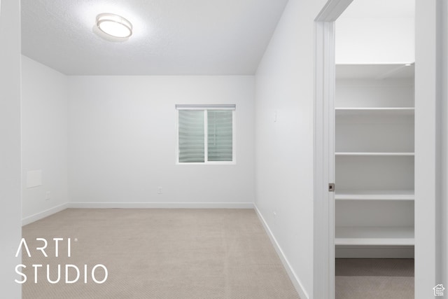 interior space featuring carpet flooring