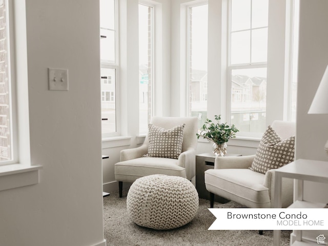 sitting room with a wealth of natural light