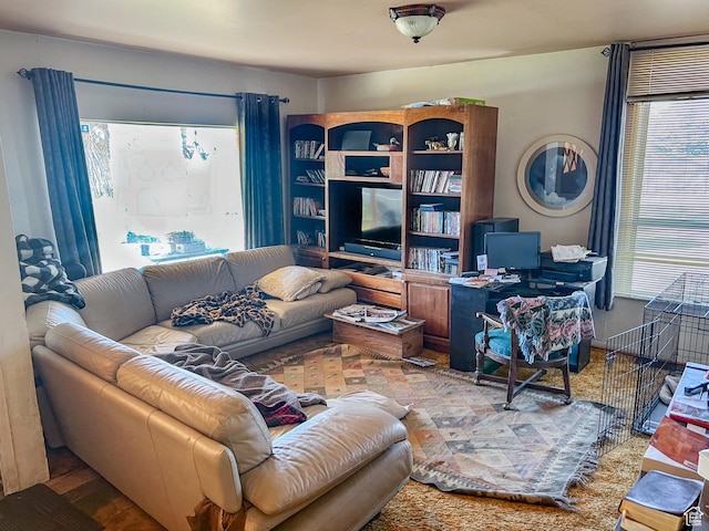 living room with a healthy amount of sunlight