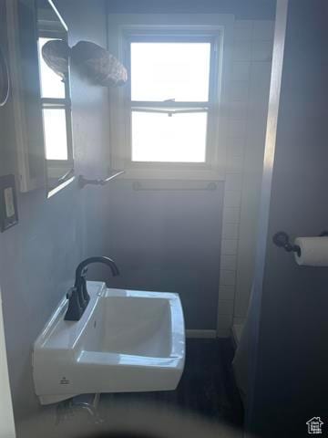 161 E 4th S, Soda Springs, ID 83276 - bathroom with walk in shower and a sink