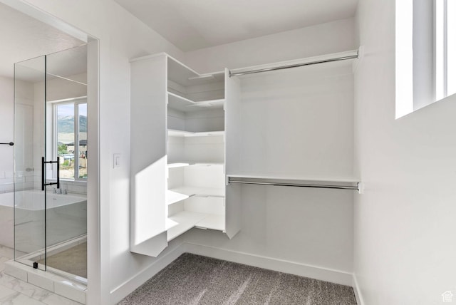 4068 Porter Ave, South Ogden, UT 84403 - view of spacious closet