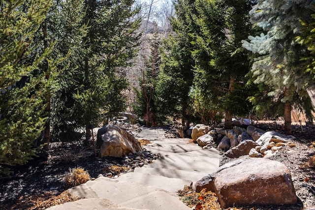 884 E Fence Post Rd S, Fruit Heights, UT 84037 - view of local wilderness with a view of trees