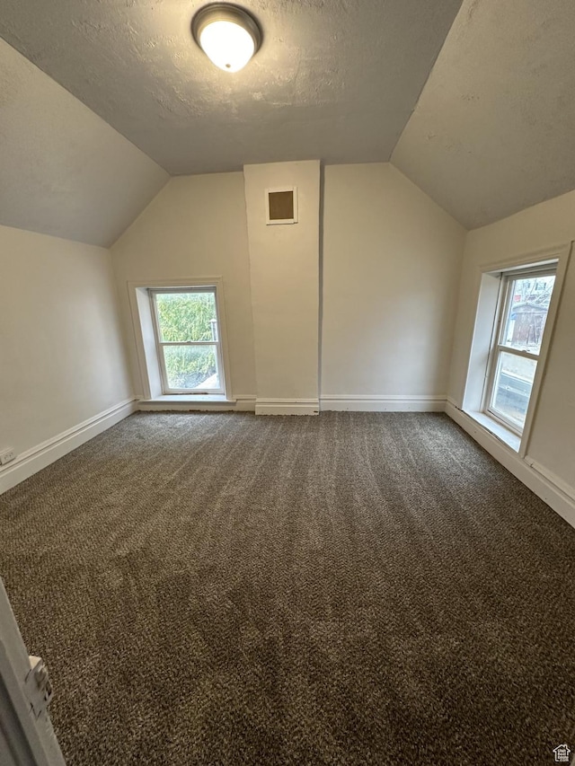 additional living space featuring lofted ceiling, a textured ceiling, carpet flooring, baseboards, and healthy amount of natural light