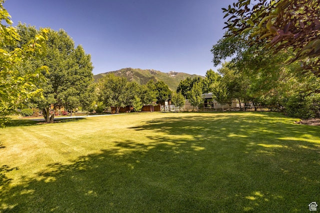 view of yard featuring a mountain view