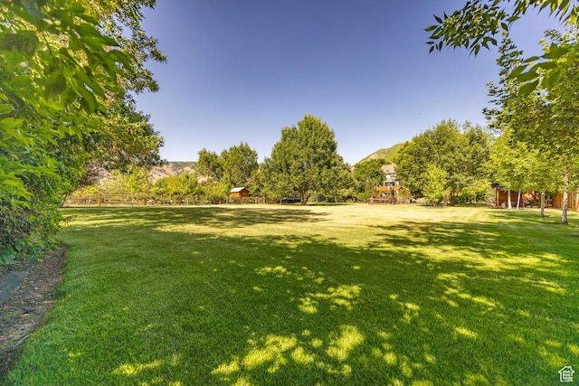 view of yard