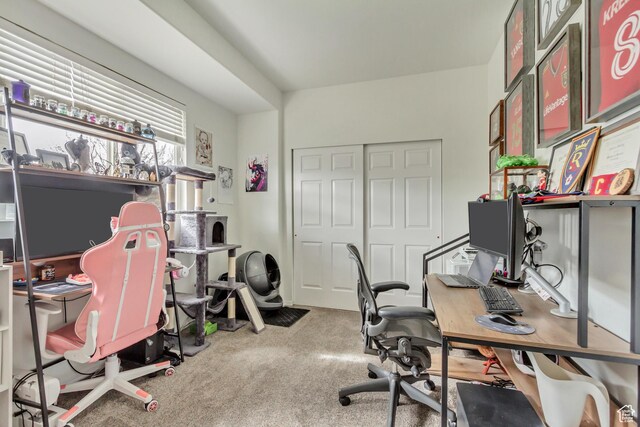 12793 S Timber Run Dr W, Riverton, UT 84096 - office area with carpet flooring