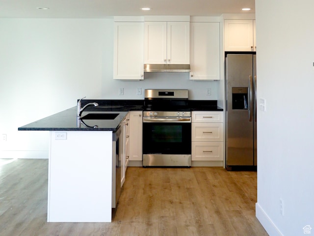 kitchen featuring under cabinet range hood, white cabinetry, stainless steel appliances, and a sink