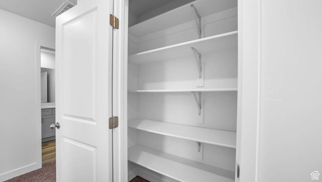 1726 S Wolverine Way Unit 174, Washington, UT 84780 - closet with visible vents