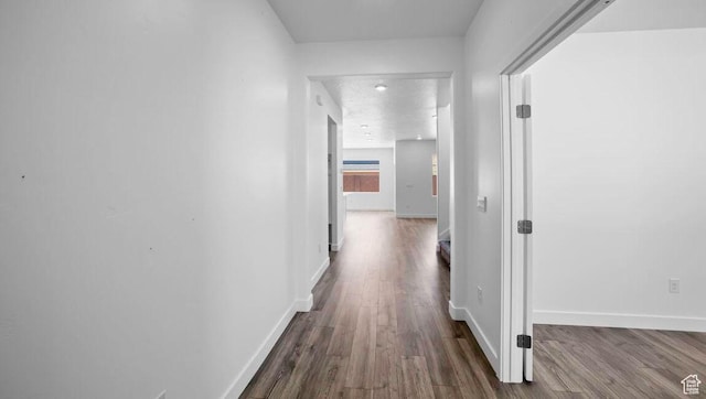 1726 S Wolverine Way Unit 174, Washington, UT 84780 - hallway with wood finished floors and baseboards