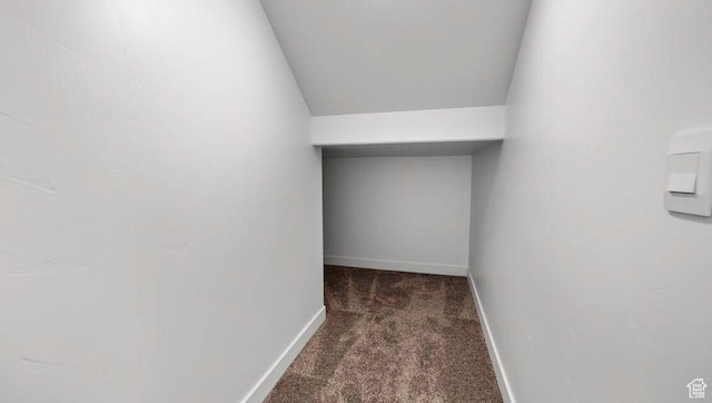 1726 S Wolverine Way Unit 174, Washington, UT 84780 - spacious closet with carpet flooring
