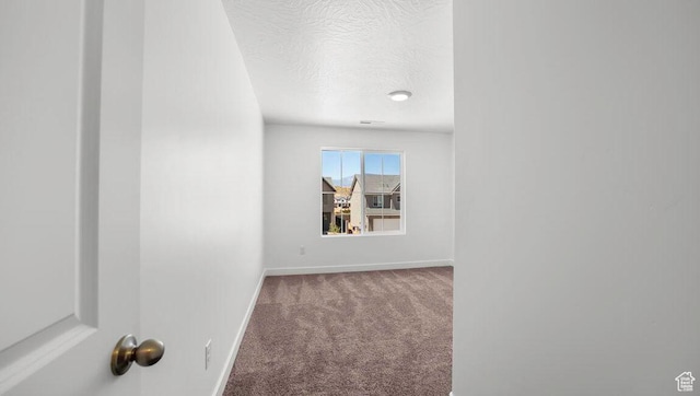1726 S Wolverine Way Unit 174, Washington, UT 84780 - corridor with baseboards, carpet floors, and a textured ceiling