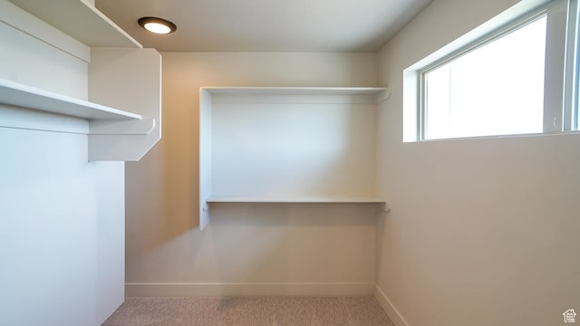954 W 1880 S, Syracuse, UT 84075 - spacious closet with carpet floors
