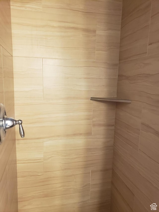 7688 S 1130 E, Midvale, UT 84047 - details featuring tiled shower
