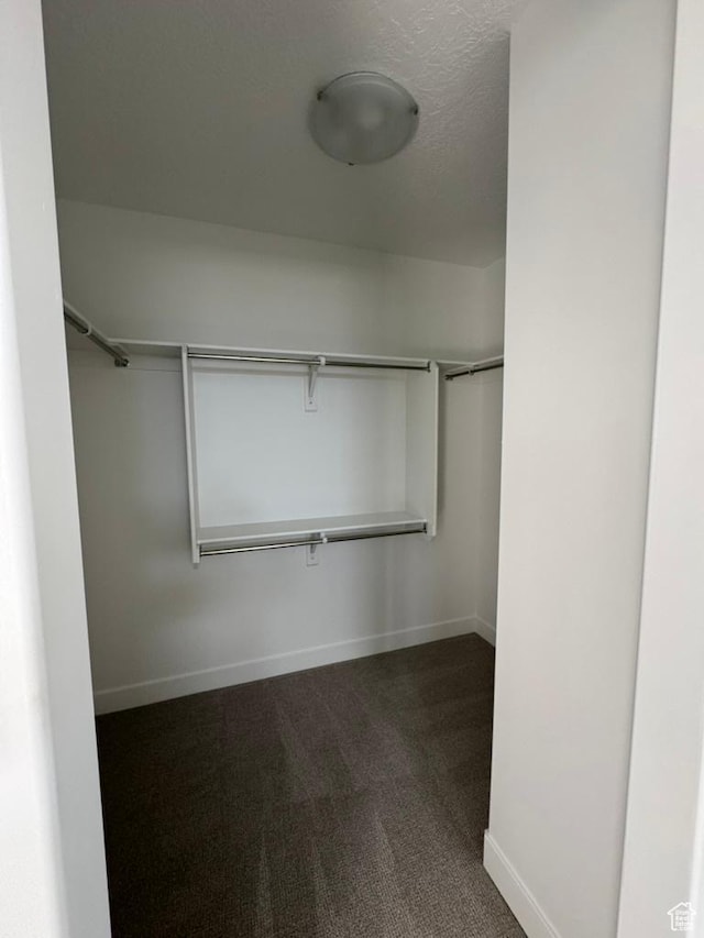 spacious closet featuring dark colored carpet
