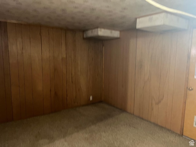 finished below grade area with light colored carpet and wooden walls