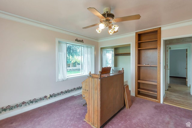 175 W 9200 S, Paradise, UT 84328 - office space featuring carpet floors, a ceiling fan, and crown molding