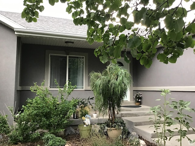 entrance to property featuring roof with shingles and stucco siding