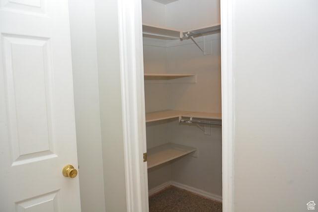 view of walk in closet
