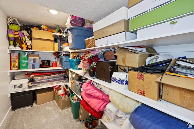 417 N Hill Farms Ln, Kaysville, UT 84037 - view of storage