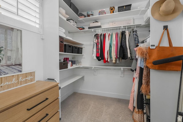 walk in closet featuring carpet flooring