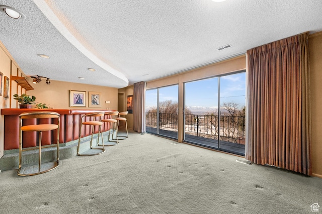 3604 S Crestwood Dr, Salt Lake City, UT 84109 - bar featuring carpet flooring, visible vents, a textured ceiling, and a bar