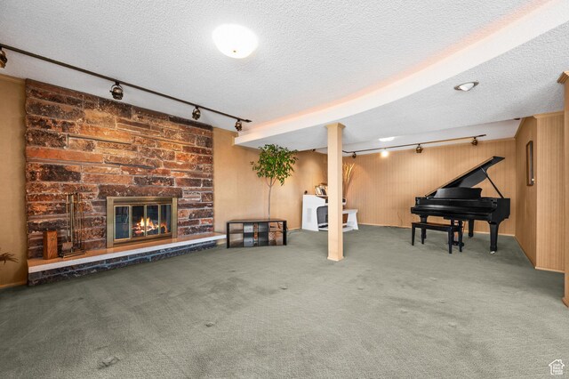 3604 S Crestwood Dr, Salt Lake City, UT 84109 - finished basement with a textured ceiling, wood walls, a fireplace, and carpet