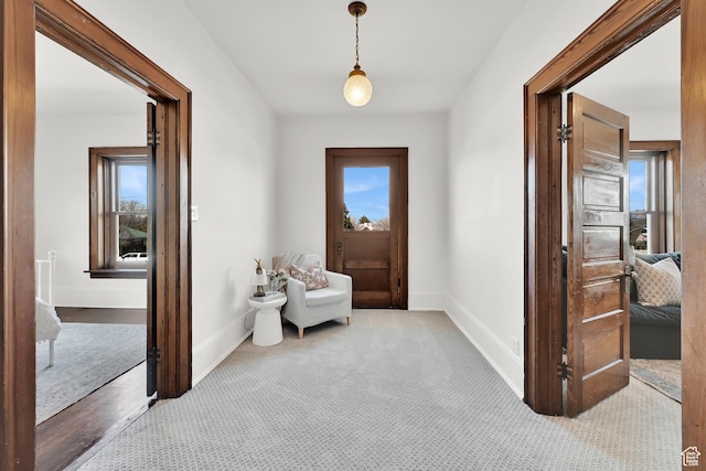 interior space featuring baseboards and carpet