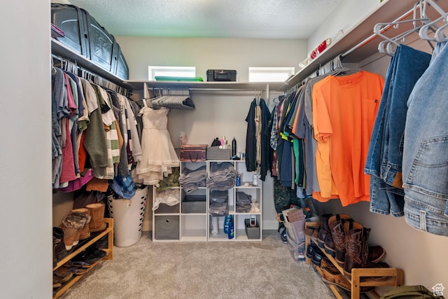 1933 E Handcart Ln N, Spanish Fork, UT 84660 - spacious closet featuring carpet flooring