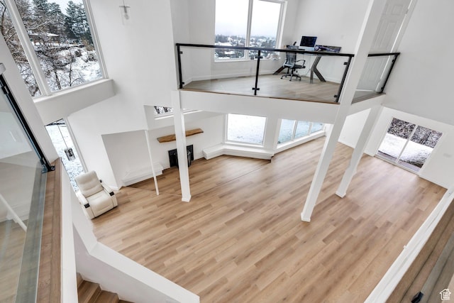 interior space featuring plenty of natural light, a towering ceiling, and wood finished floors