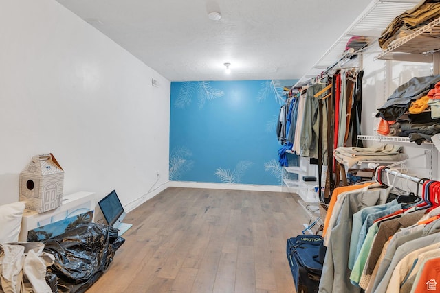 walk in closet featuring hardwood / wood-style flooring