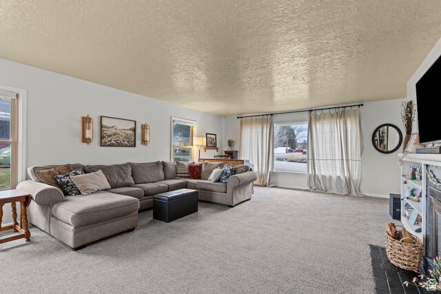 162 S 3 E, Preston, ID 83263 - living area with carpet floors and a textured ceiling