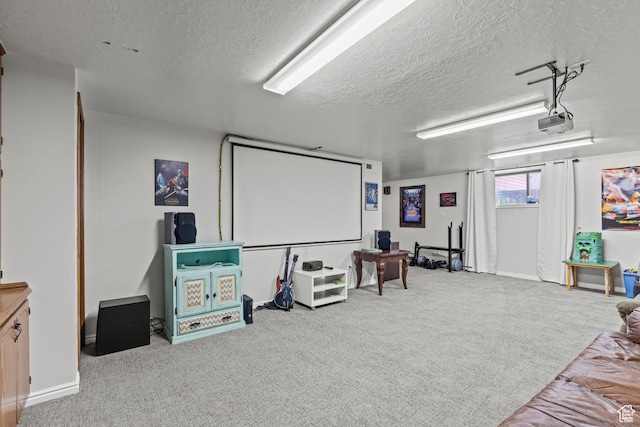 162 S 3 E, Preston, ID 83263 - carpeted cinema room with a textured ceiling